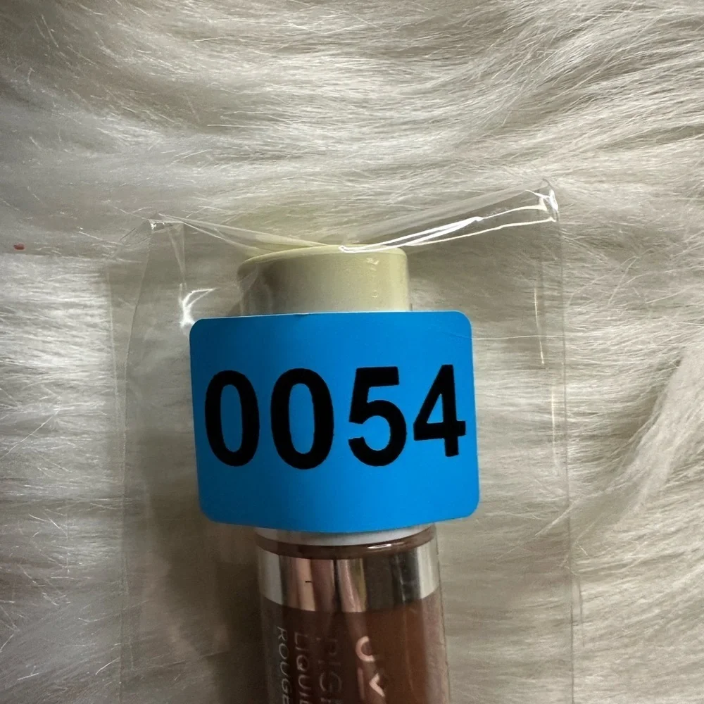 🩷5/$10 Jordana Lip Gloss in Shimmering Brown